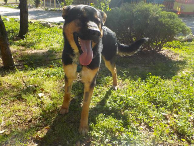 multimedia-foto37250-51-3