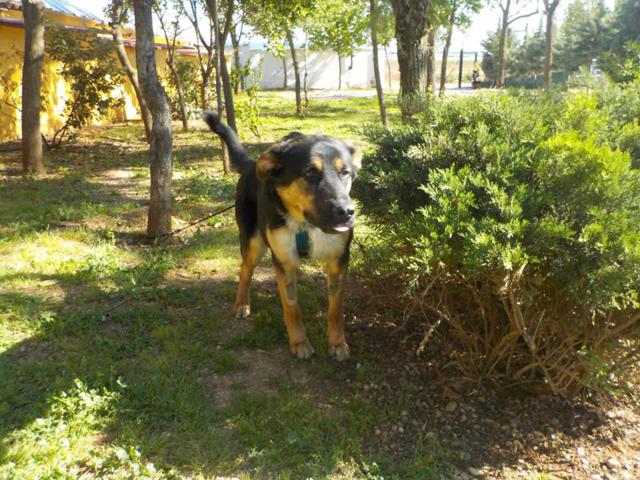 multimedia-foto37251-78-3