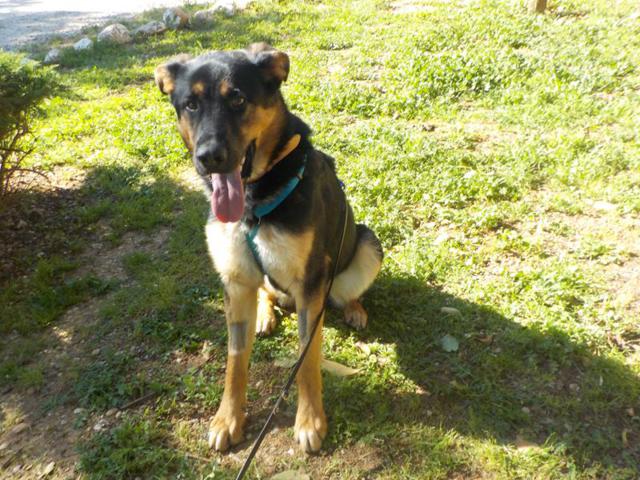 multimedia-foto37252-100-3