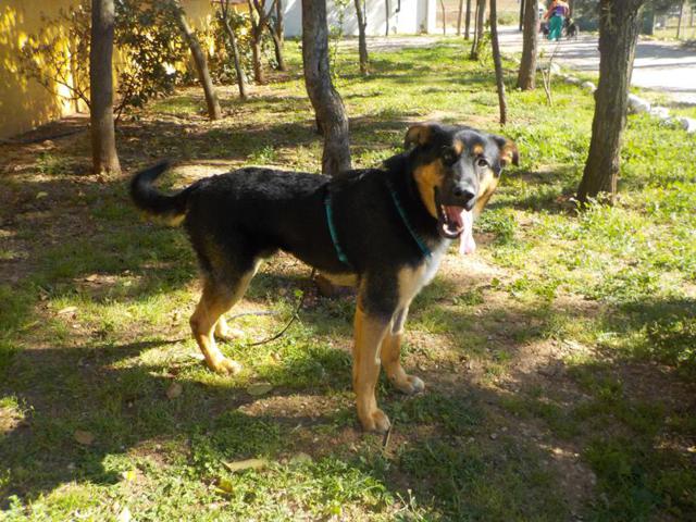 multimedia-foto37253-117-3