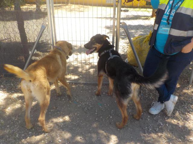 multimedia-foto37254-132-3