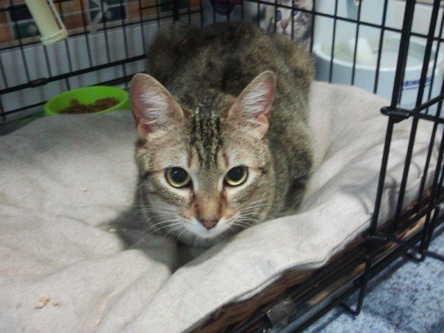 multimedia-foto37256-432-3