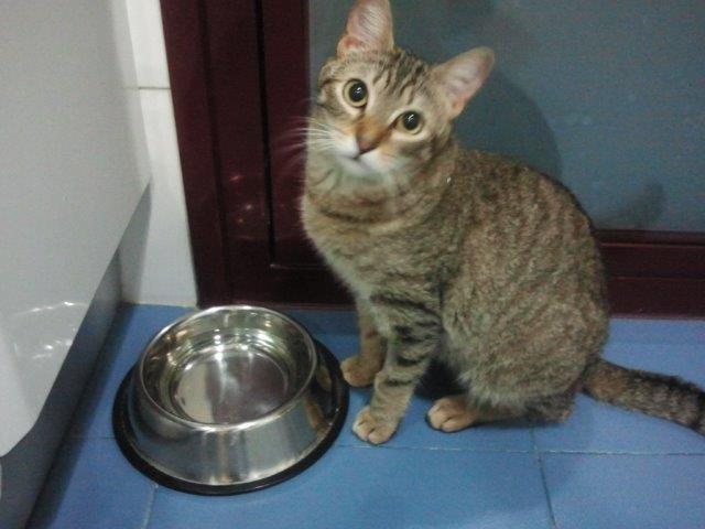 multimedia-foto37257-655-3