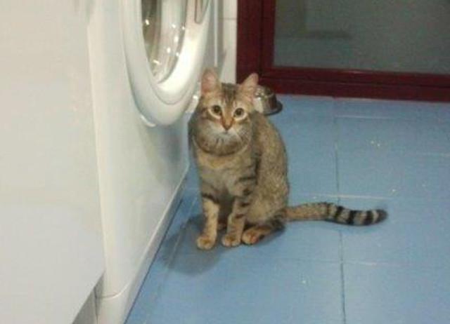 multimedia-foto37259-72-3