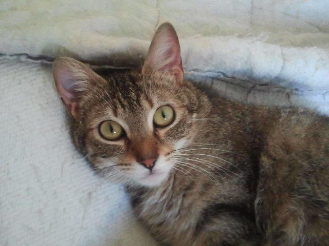 multimedia-foto37260-265-3