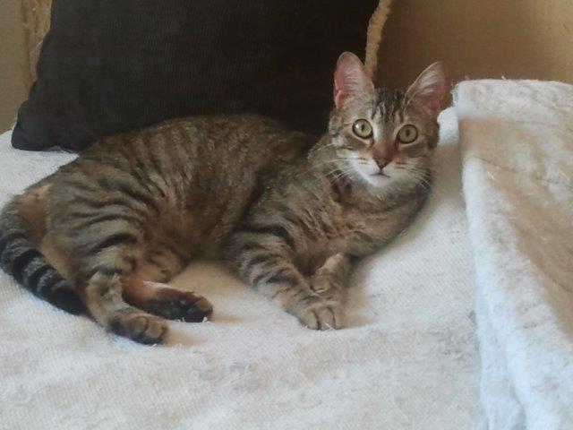 multimedia-foto37261-435-3