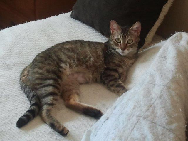 multimedia-foto37262-588-3