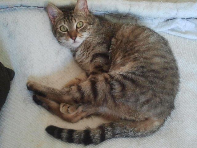 multimedia-foto37263-718-3