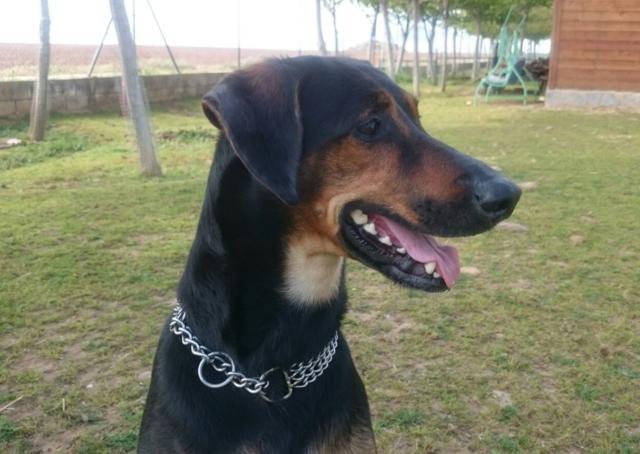 multimedia-foto37264-437-3