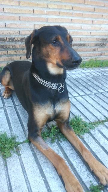 multimedia-foto37265-661-3