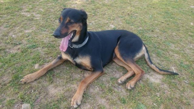 multimedia-foto37266-876-3