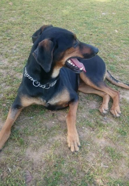 multimedia-foto37267-77-3