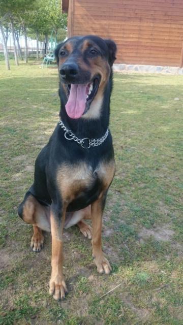 multimedia-foto37268-271-3