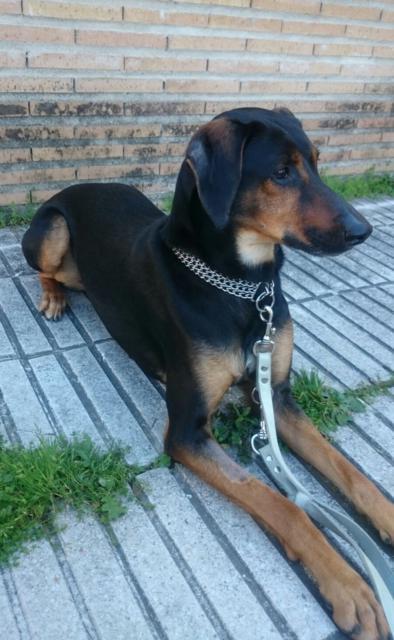 multimedia-foto37269-439-3