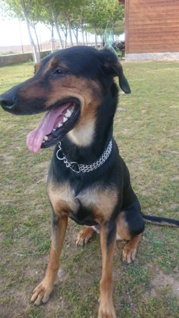 multimedia-foto37270-592-3