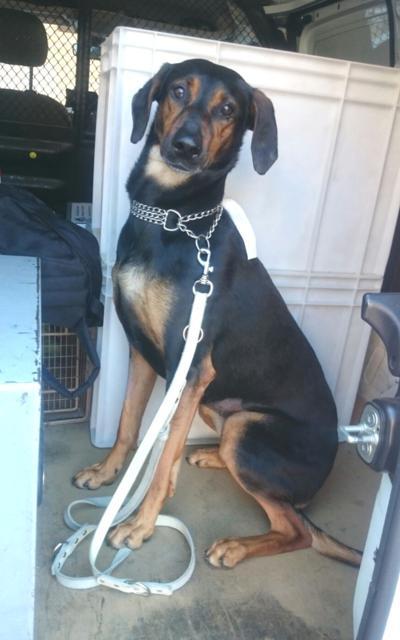 multimedia-foto37271-721-3