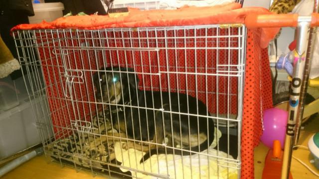 multimedia-foto37272-830-3