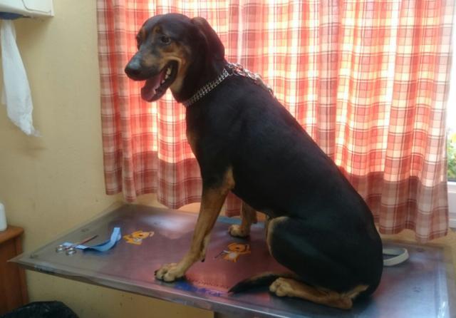 multimedia-foto37273-900-3