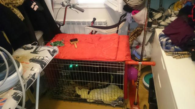 multimedia-foto37274-947-3