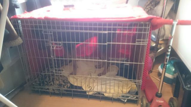 multimedia-foto37275-989-3