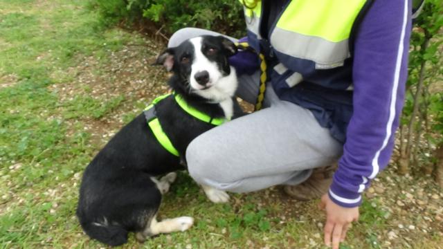 multimedia-foto37277-448-3