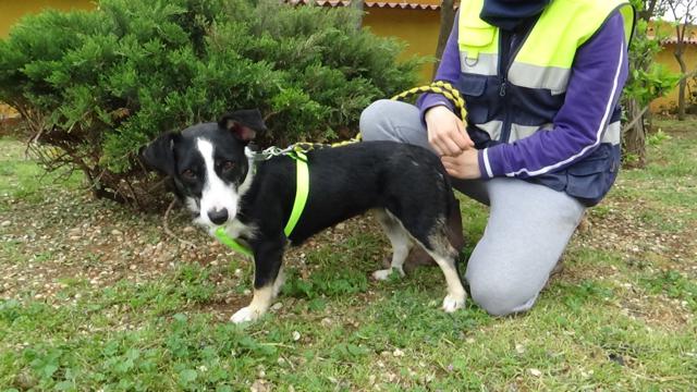 multimedia-foto37278-672-3