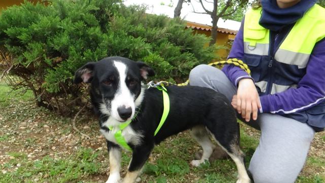 multimedia-foto37279-886-3