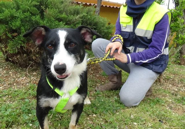 multimedia-foto37280-87-3