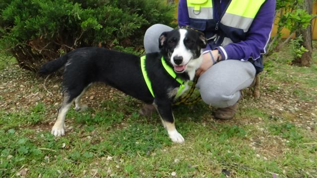 multimedia-foto37281-280-3