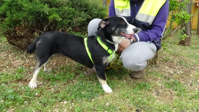 multimedia-foto37282-448-3