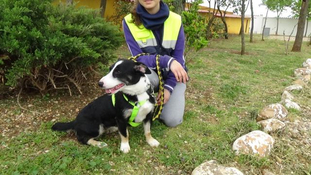 multimedia-foto37283-600-3