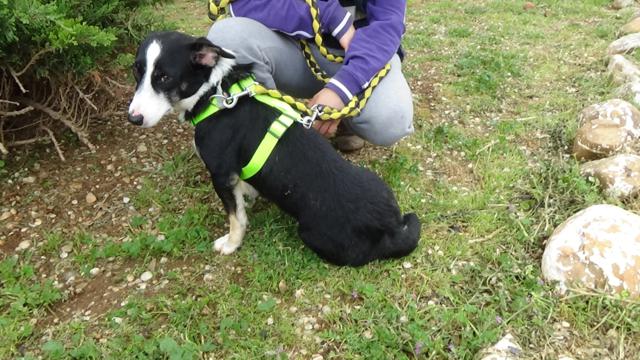 multimedia-foto37285-835-3