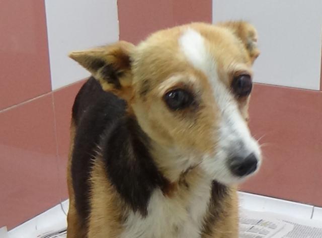 multimedia-foto37294-462-3