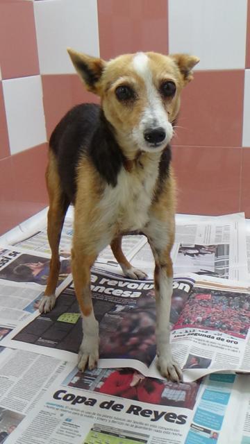 multimedia-foto37295-685-3