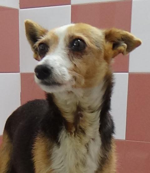 multimedia-foto37296-900-3