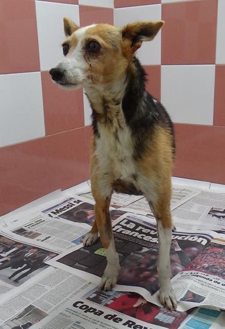 multimedia-foto37297-99-3