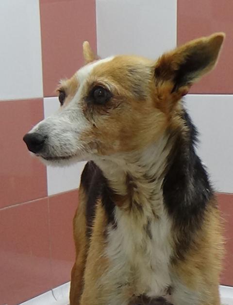 multimedia-foto37299-458-3