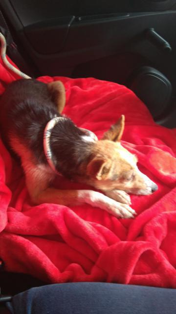 multimedia-foto37300-608-3