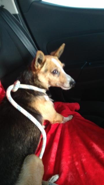 multimedia-foto37301-734-3