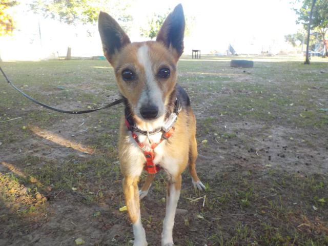 multimedia-foto37302-840-3