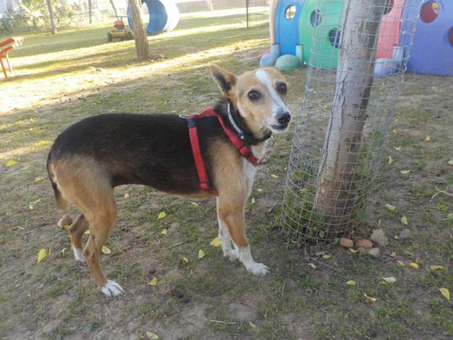 multimedia-foto37303-905-3