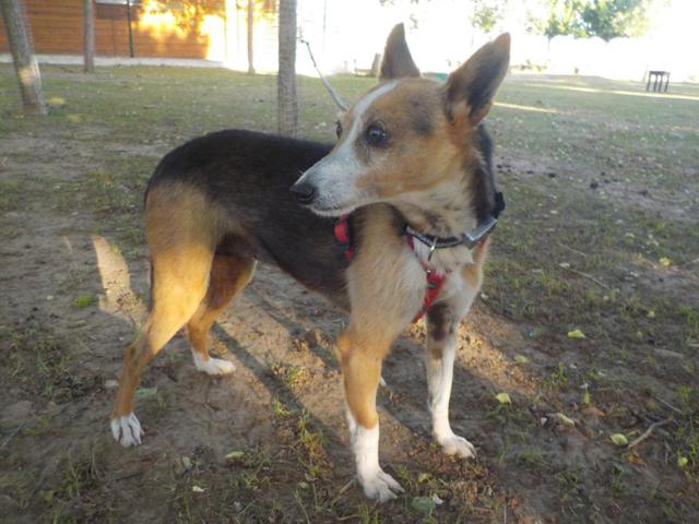 multimedia-foto37304-951-3