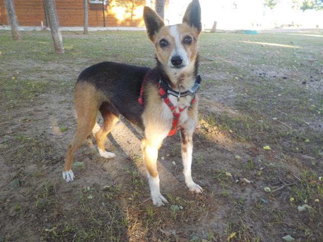 multimedia-foto37305-993-3