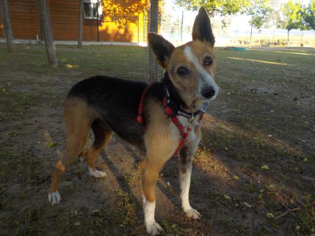 multimedia-foto37306-27-3