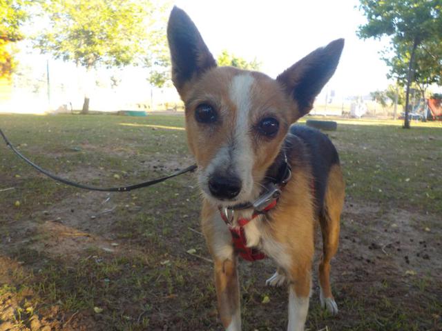 multimedia-foto37308-82-3