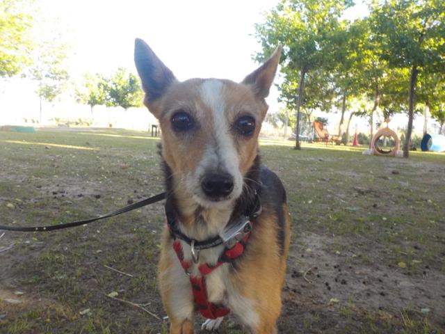 multimedia-foto37309-103-3