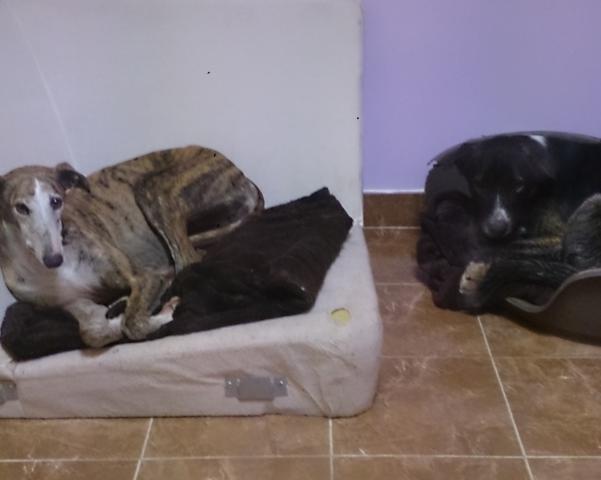 multimedia-foto37316-617-3