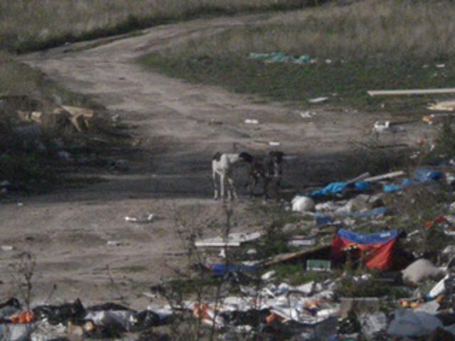 multimedia-foto37317-741-3