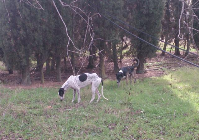 multimedia-foto37318-847-3