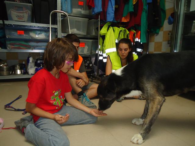 multimedia-foto37323-59-3